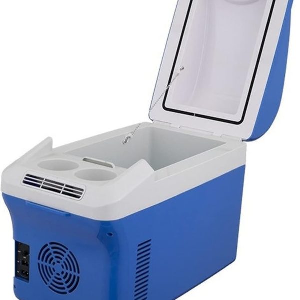 QBNZAXC Mini fridge Travel Refrigerator Mini Fridges For Car Home Portable Refrigerator Milk Food Insulated Carrier With Handle