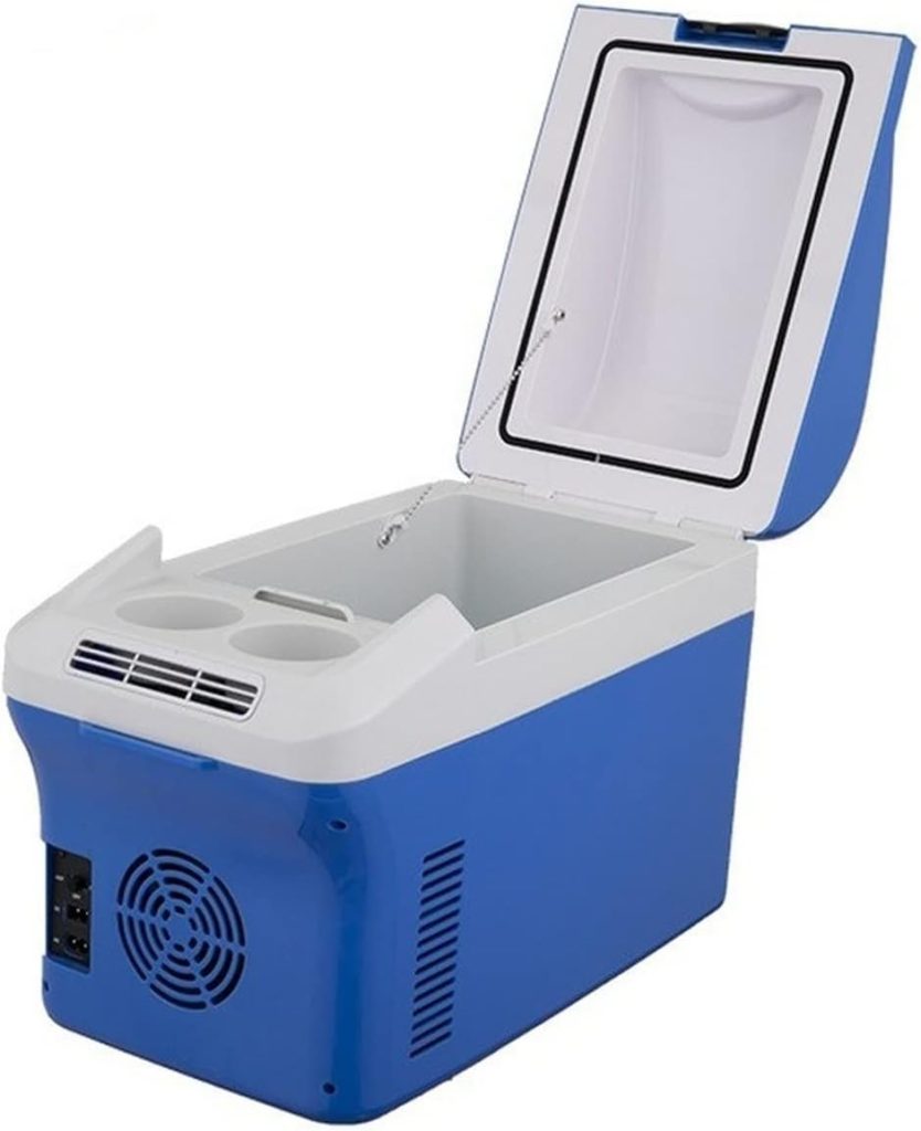 QBNZAXC Mini fridge Travel Refrigerator Mini Fridges For Car Home Portable Refrigerator Milk Food Insulated Carrier With Handle