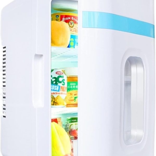 QBNZAXC Mini fridge 10L Refrigerator Mini Fridges Portable Drinks Cooler For Food Drink Home Dual Use Outdoor Picnic