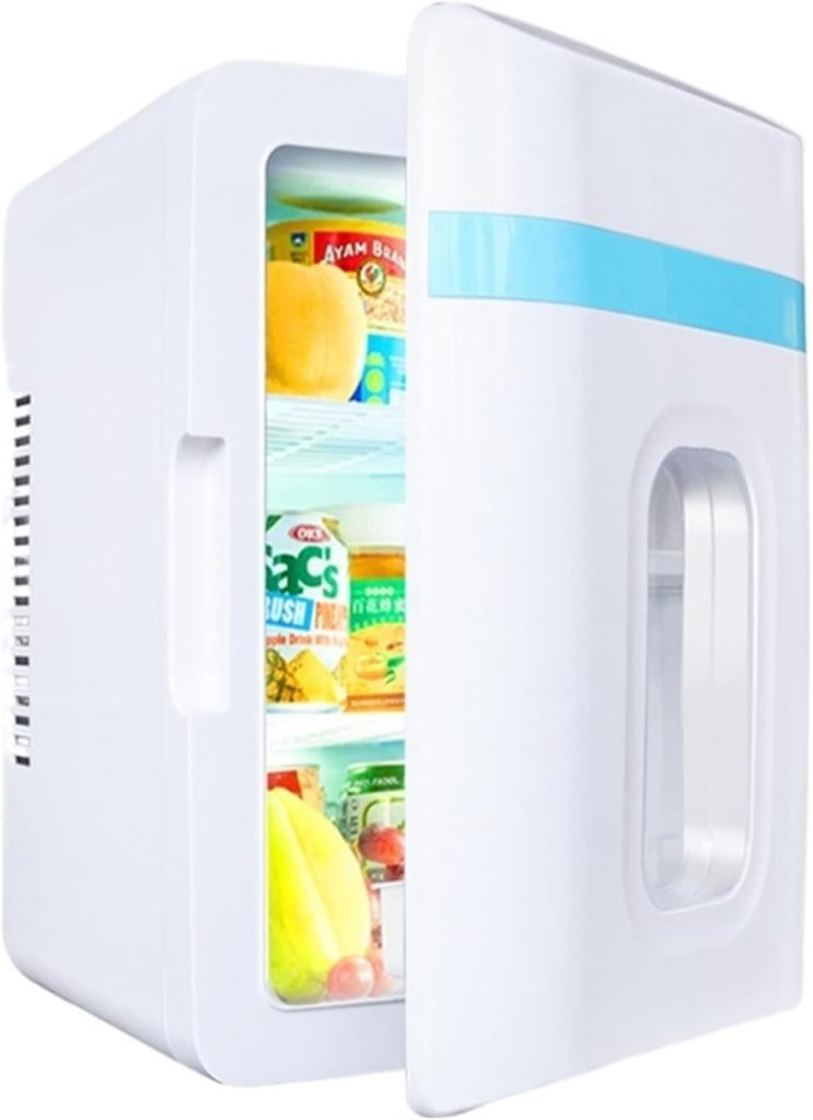 QBNZAXC Mini fridge 10L Refrigerator Mini Fridges Portable Drinks Cooler For Food Drink Home Dual Use Outdoor Picnic
