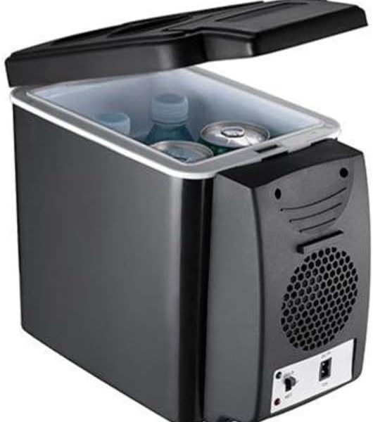 OIUQWWS Mini Car Fridge Cooler Warmer Compressor Fridge Travel Refrigerator Portable Electric Icebox Cooler Box Auto Freezer