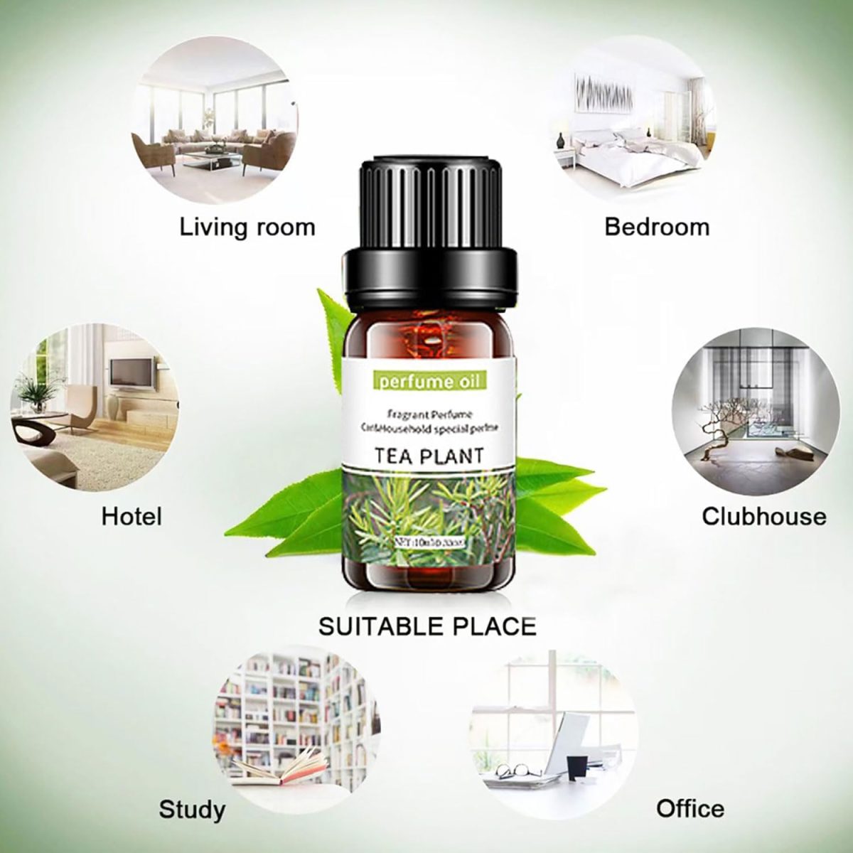 ⁦ECVV 4pcs Essential Oil Set 10ml Each Bottle For Humidifier Oil Fragrance Diffuser Home Fragrance Refill Oils Gift Set⁩ - الصورة ⁦6⁩