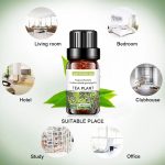 ⁦ECVV 4pcs Essential Oil Set 10ml Each Bottle For Humidifier Oil Fragrance Diffuser Home Fragrance Refill Oils Gift Set⁩ - الصورة ⁦6⁩