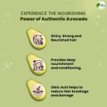 ⁦Vatika Naturals Mexican Avocado Enriched Hair Oil 300ml | Revitalize & Nourish with Vitamin A, E & F | For Shiny, Strong and Nourished Hair | No Paraben, No Sulfate, No Silicone⁩ - الصورة ⁦5⁩