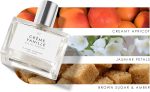 ⁦عطر لو موند جورماند ترو فراجرانس اند بيوتي رقم 17 كريم فانيلا او دي بارفان من - مشمش كريمي وبتلات الياسمين والسكر البني والعنبر للنساء 1 اونصة⁩ - الصورة ⁦4⁩