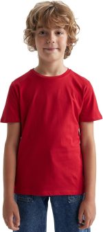 DeFacto Boys B0667A8 T-shirt