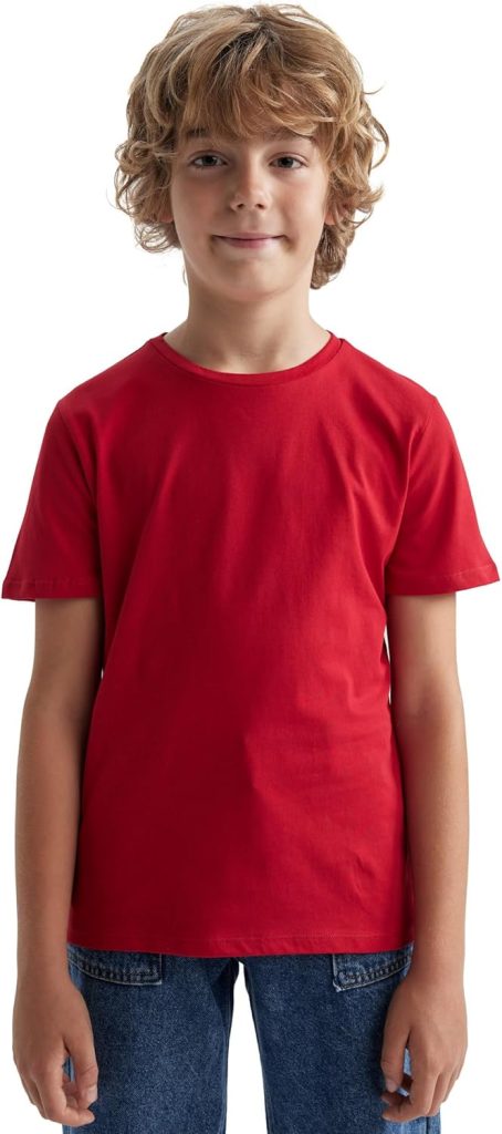 DeFacto Boys B0667A8 T-shirt