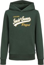 JACK & JONES boys JJELOGO SWEAT HOOD 2 COL 22/23 NOOS JNR Sweatshirt