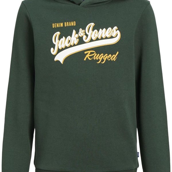JACK & JONES boys JJELOGO SWEAT HOOD 2 COL 22/23 NOOS JNR Sweatshirt