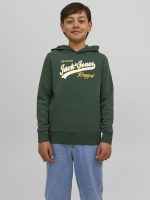 ⁦JACK & JONES boys JJELOGO SWEAT HOOD 2 COL 22/23 NOOS JNR Sweatshirt⁩ - الصورة ⁦2⁩