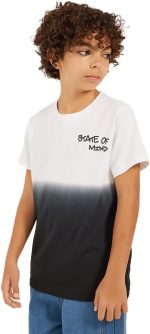Styli Boys Ombre Print Round Neck Regular Fit T-Shirt