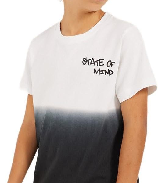 Styli Boys Ombre Print Round Neck Regular Fit T-Shirt