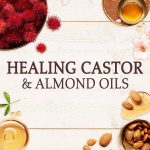 ⁦Garnier Ultra Doux Castor & Almond Oils Strengthening Shampoo, 600 Ml⁩ - الصورة ⁦3⁩