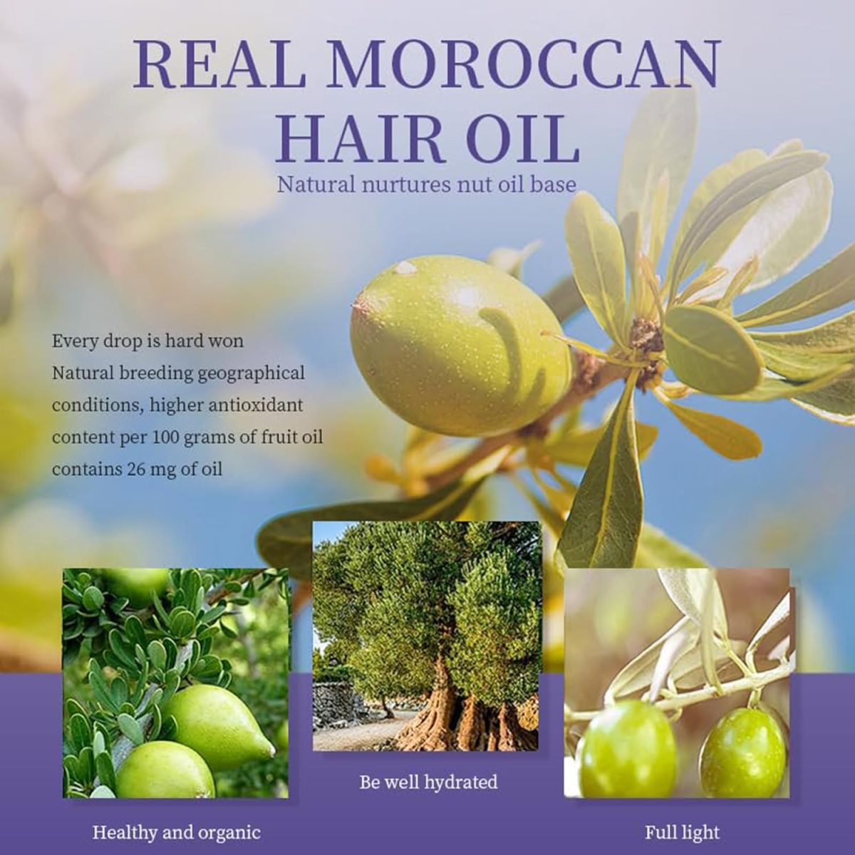 ⁦LBOYLOVE® Moroccan Argan Hair Oil, Purple Hair Essential Oil, Leave Hair Soft & Shiny, Deep Moisturizer, Frizz Control, Split End Repair for Dry & Damaged Hair, Hair Treatment Oil for Dry and Frizzy⁩ - الصورة ⁦7⁩