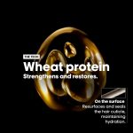 لوريال بروفيشنال شامبو اصلاح الشعر من ابسولوت | علاج بالبروتين | يصلح التلف ويوفر اللمعان | مع الكينوا والبروتينات | الجاف والتالف | 16.9 اونصة سائلة - الصورة 6