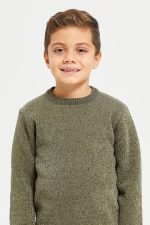 ⁦REDTAG Boys Chenille With Fleece Lining Bonded Pullover⁩ - الصورة ⁦4⁩