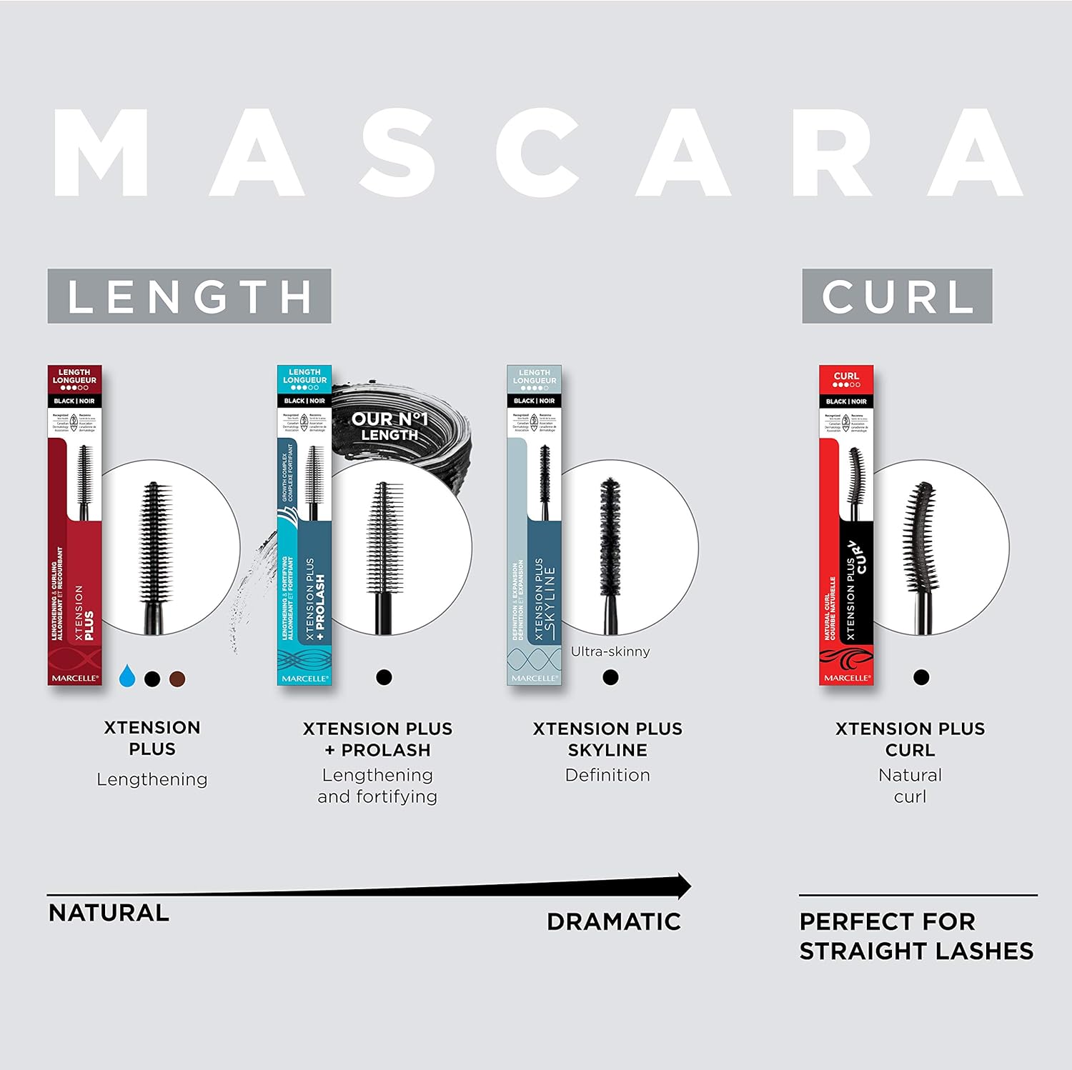 81FZGtqEIL._AC_SL1500_.jpg Marcelle Xtension Plus + Pro Lash Growth Complex Mascara, Black, 1 Tube - الصورة 3