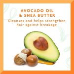 ⁦شامبو كانتو كريم مرطب بالأفوكادو 400 مل⁩ - الصورة ⁦5⁩