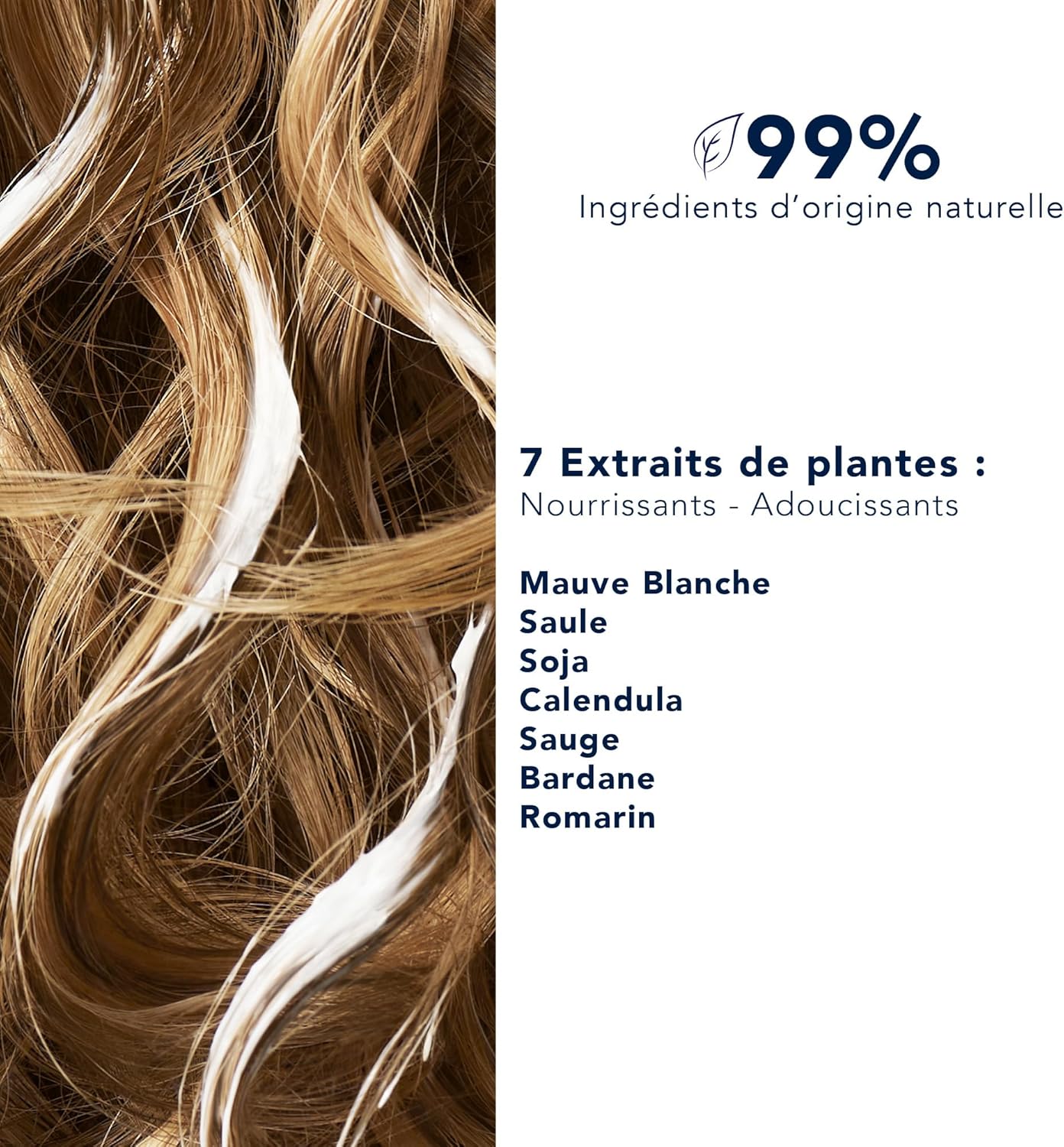 81x-tldZ8EL._AC_SL1500_.jpg PHYTO PARIS Nourishment Cream No. 7 50 Ml - الصورة 3