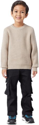 REDTAG Boys Beige Crew Neck Pullover, Beige