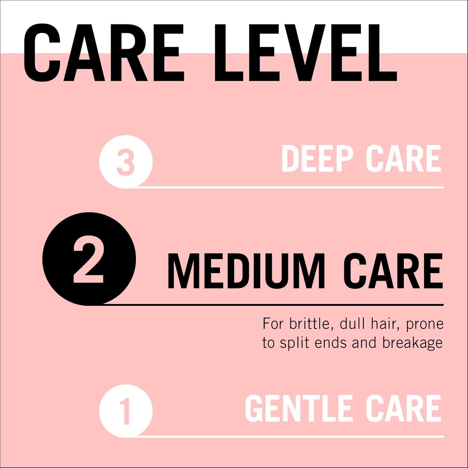 61hkFjsMm1L._AC_SL1500_.jpg شوارزكوف جليس معجزة للشعر المتقصف - بلسم تثبيت، 360 مل - الصورة 6