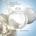 ⁦عطر نوا للنساء من كشاريل - او دي تواليت، 100 مل- (متعدد الالوان)، 3.4 أونصة سائلة⁩ - الصورة ⁦2⁩