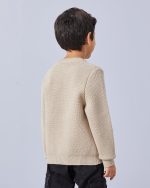 ⁦REDTAG Boys Beige Crew Neck Pullover, Beige⁩ - الصورة ⁦2⁩