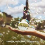 ⁦عطر نوا للنساء من كشاريل - او دي تواليت، 100 مل- (متعدد الالوان)، 3.4 أونصة سائلة⁩ - الصورة ⁦3⁩