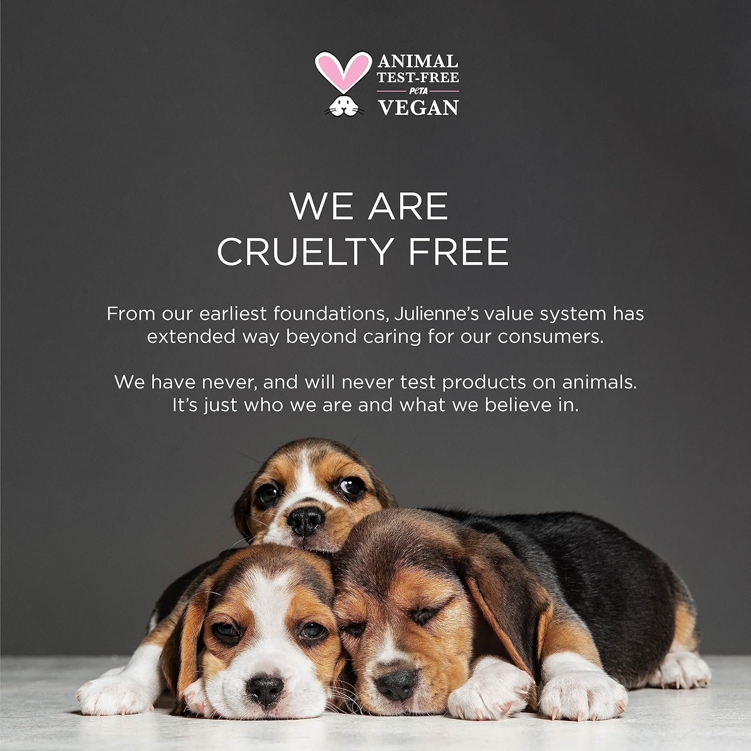 91HcB6VsxML._AC_SL1500_.jpg مجموعة تلوين الحواجب الحساسة من جوليان (بني داكن) - الصورة 6