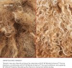 ⁦شامبو مصحح للون الشعر اولابليكس نمبر 4بي معزز الاشقر⁩ - الصورة ⁦5⁩